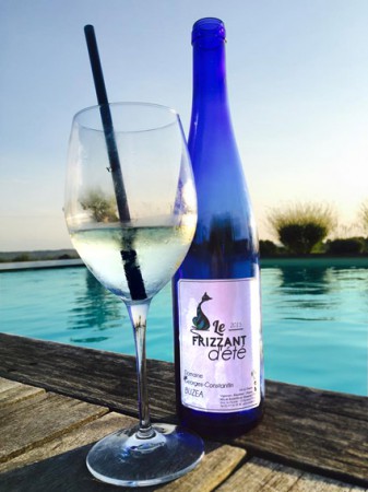 Frizzant d'été Bleu - Blanc fruité